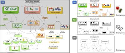 Emotional Design in Concept Maps – No Support but Also No Burden